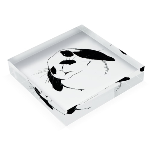 ティーちゃん Acrylic Block