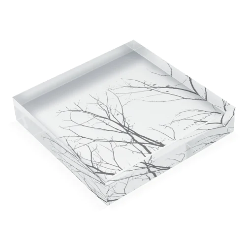 picture series -branch.- Acrylic Block