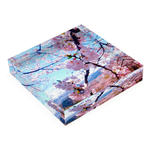 桜❀.*･ﾟ Acrylic Block
