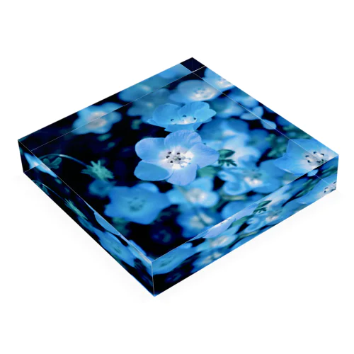 blue star Acrylic Block