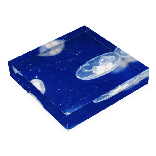 jellyfish Acrylic Block