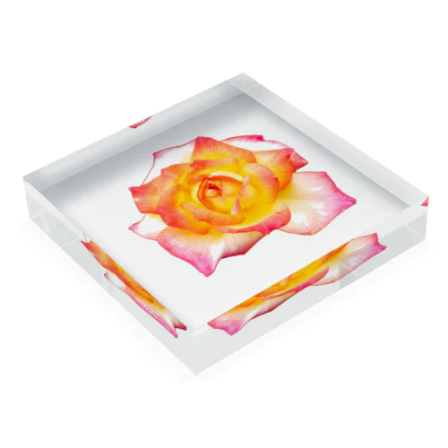 その名も薔薇 Acrylic Block