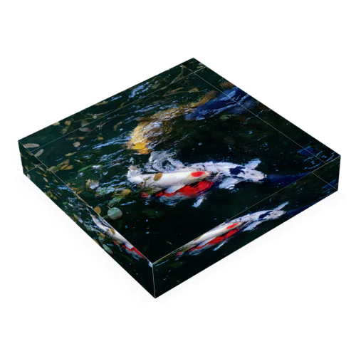 Block-Photo-Carp01 Acrylic Block