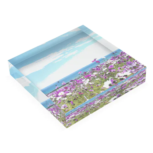 空と海と秋桜 Acrylic Block