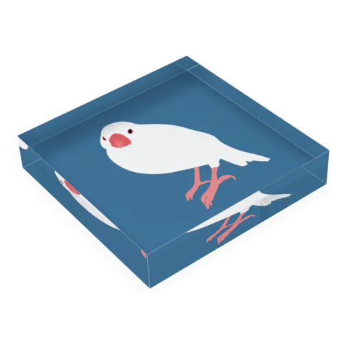 こっちむき文鳥のふうちゃん Acrylic Block