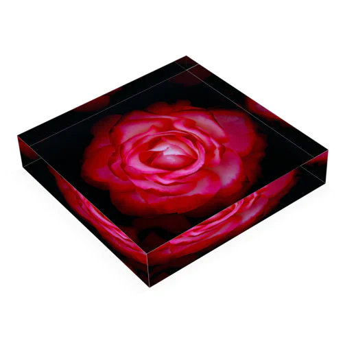 Block-Photo-Rose03 Acrylic Block