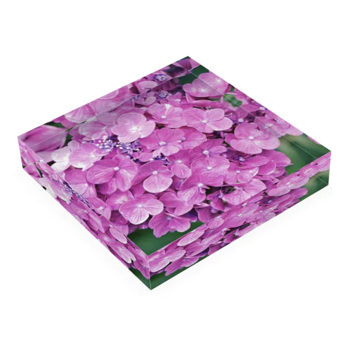 紫陽花2-2 Acrylic Block