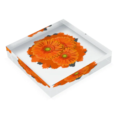 オレンジ色のガーベラ Acrylic Block