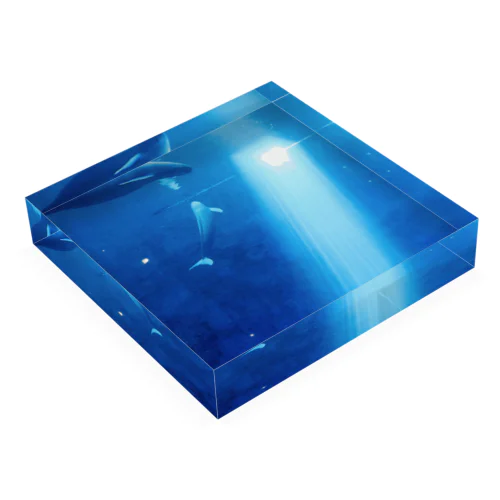 SEA Acrylic Block