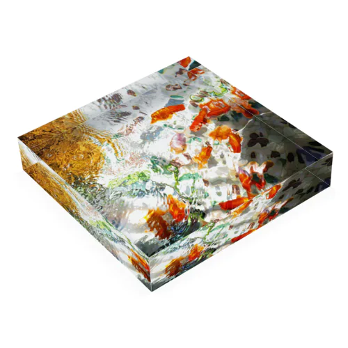 Goldfish Acrylic Block