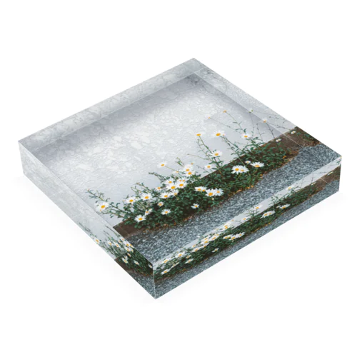 花 Acrylic Block