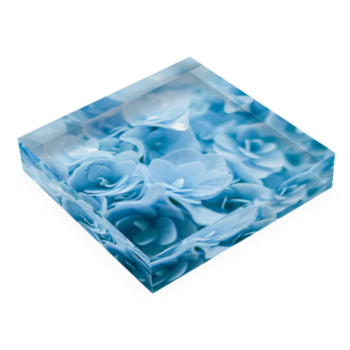 紫陽花BLUE Acrylic Block