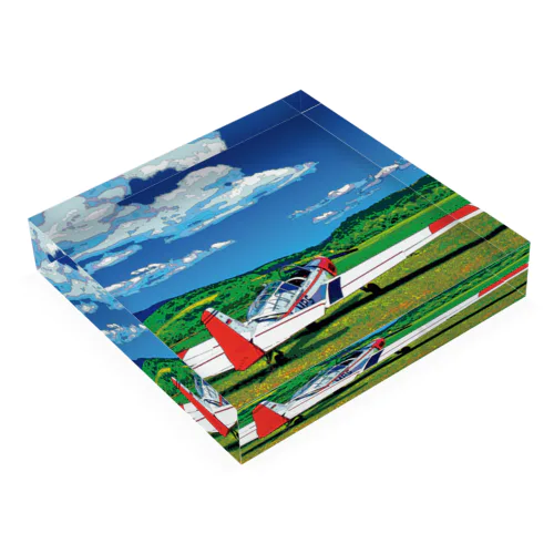 草原の飛行機 Acrylic Block