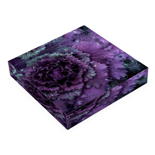 華-紫 Acrylic Block