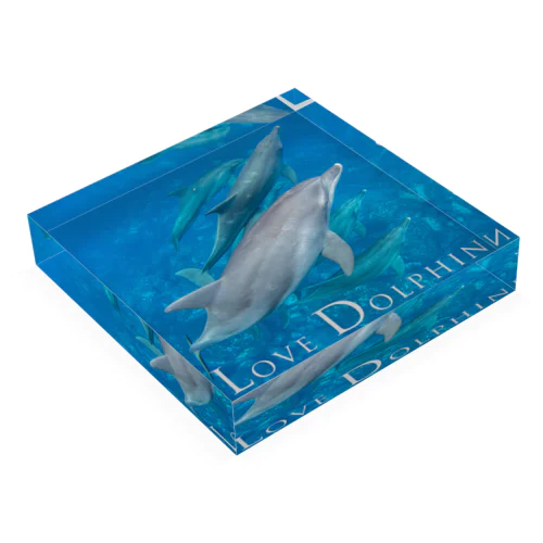Love Dolphin 5 Acrylic Block