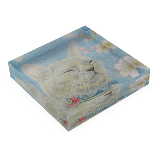 ねこ ぬくぬく Acrylic Block