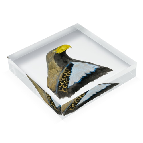 オオワシ　🦅でござる🪶 Acrylic Block