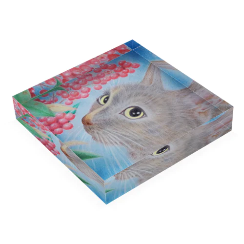 ねこ さわやか Acrylic Block