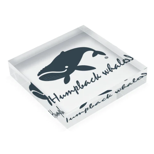 Humpback whale22 Acrylic Block