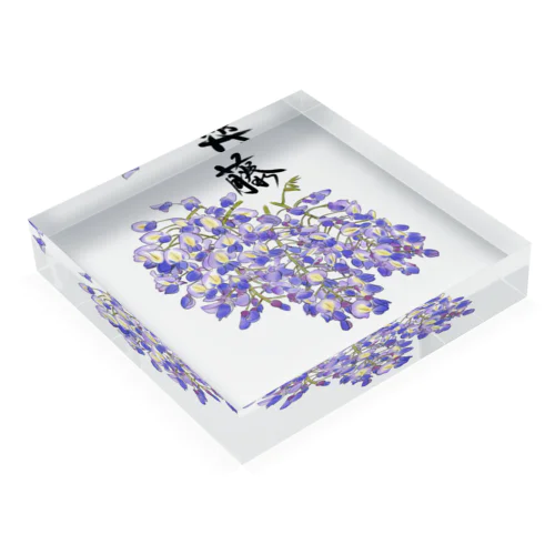 2022藤の花房 Acrylic Block