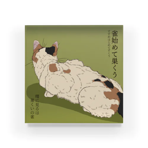 雀始めて巣くう　雀を狙う三毛猫 Acrylic Block