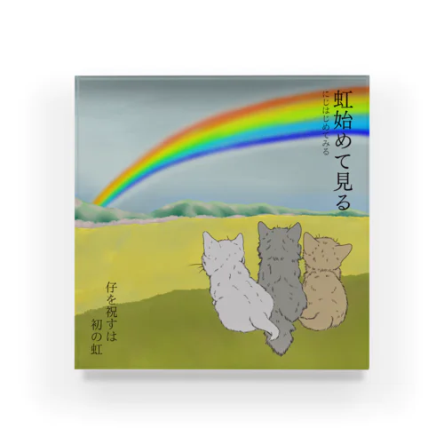 虹始めて見る　はじめて虹を見た仔猫たち Acrylic Block