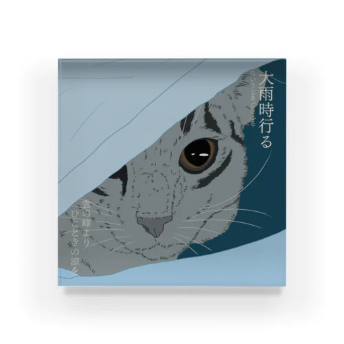 大雨時行る　雷から隠れるサバトラ猫 Acrylic Block