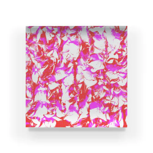 Hydrangea PinkValencia Acrylic Block