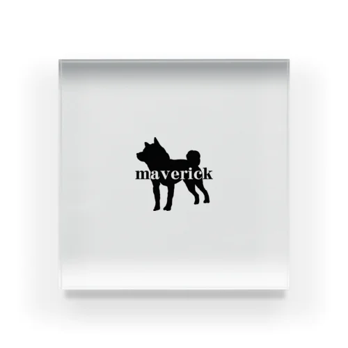 maverick犬 Acrylic Block