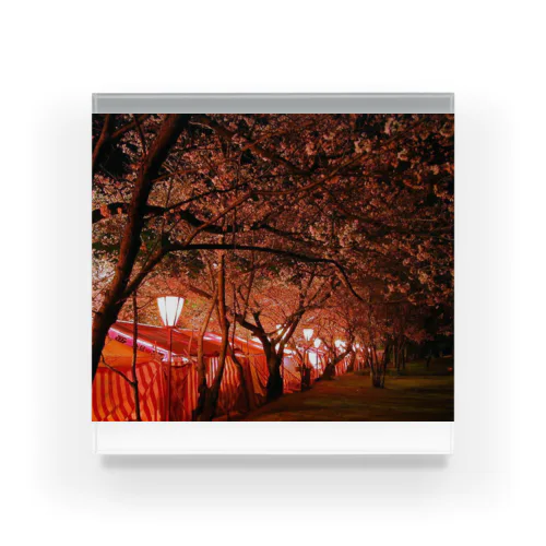 夜桜 Acrylic Block
