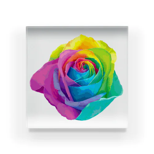 Rainbow rose(Single) Acrylic Block