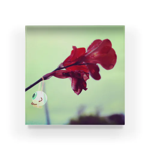 flower swing* Acrylic Block