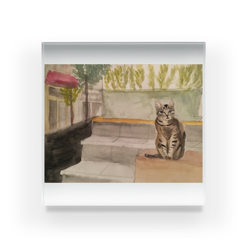 イスタンブールの猫 Acrylic Block