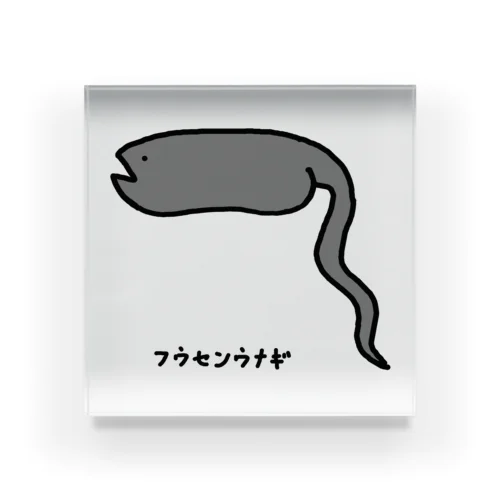 【魚シリーズ】フウセンウナギ♪単体♪2105 アクリルブロック