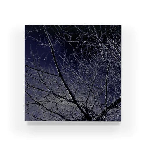 branch ( SnowNight ) Acrylic Block