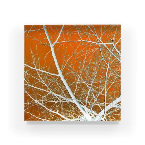 branch ( Sunny ) Acrylic Block