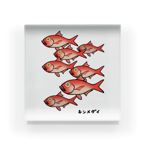 【魚シリーズ】キンメダイ♪群れ♪2107 アクリルブロック
