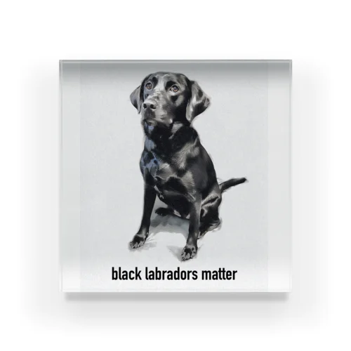 Black Labradors Matter Acrylic Block