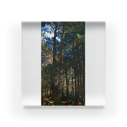 nature "ASA" Acrylic Block