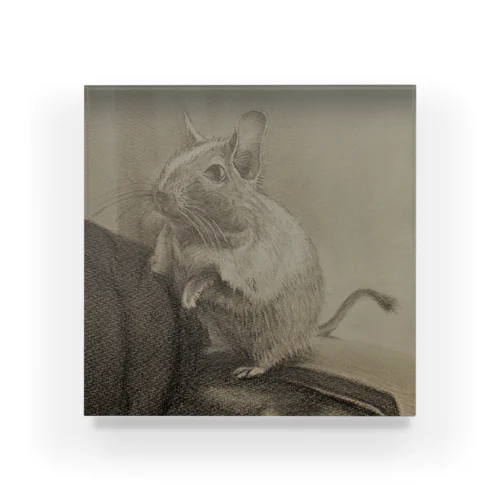 degu. Acrylic Block