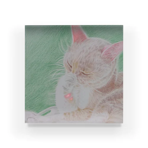 ねこ ぽかぽか Acrylic Block