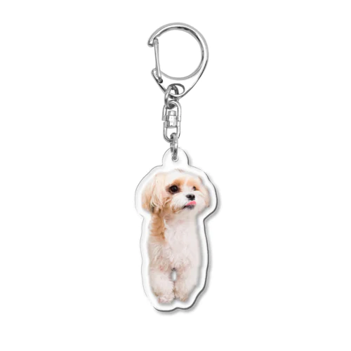 犬くん[反抗期] Acrylic Key Chain