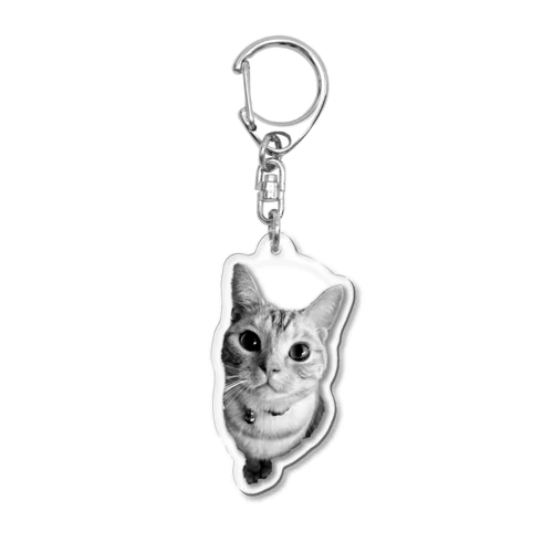 CAT-Y Acrylic Key Chain