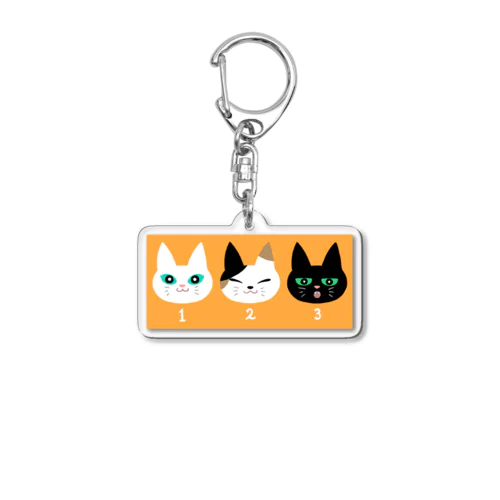 3nyan! Acrylic Key Chain