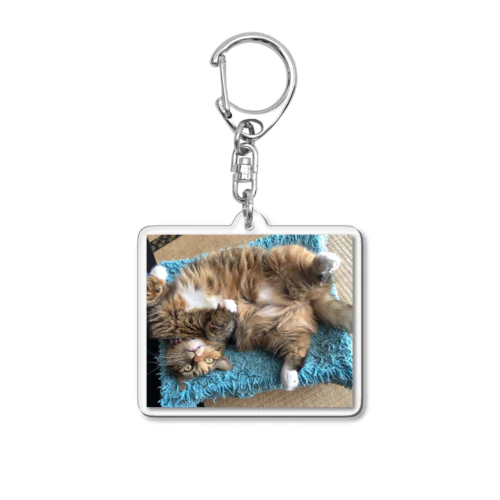 もふ腹ねこ Acrylic Key Chain