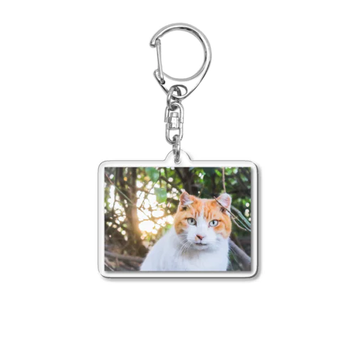 うみねこ Acrylic Key Chain