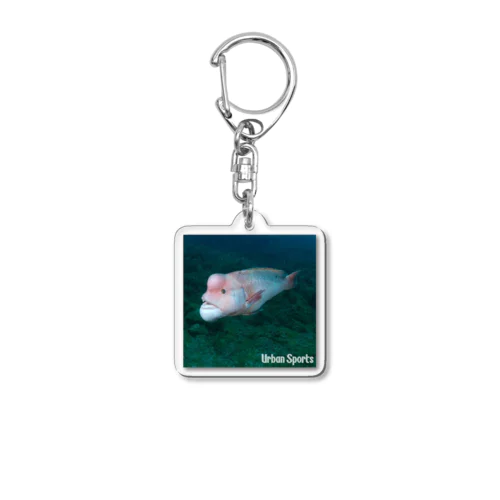 52 Acrylic Key Chain