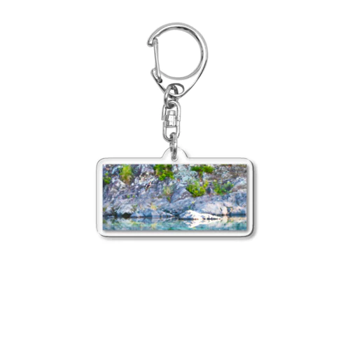 イワツバメ Acrylic Key Chain