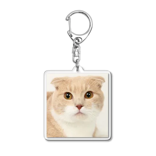 ツナたん証明写真 Acrylic Key Chain