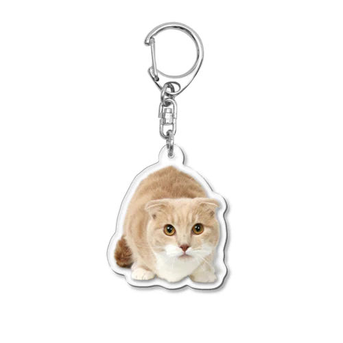 ツナたん宣材写真 Acrylic Key Chain